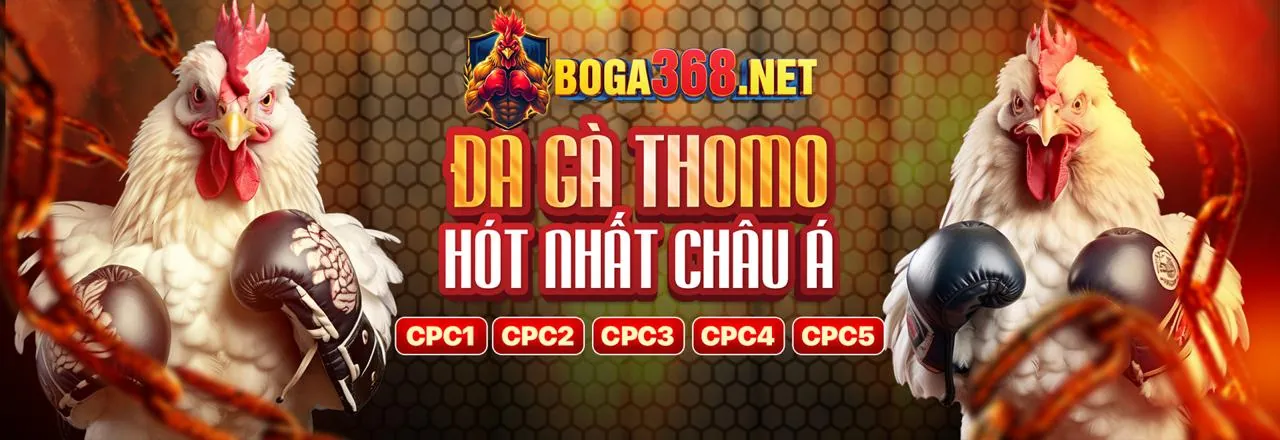 Ứng dụng đá gà AZ88 trên điện thoại