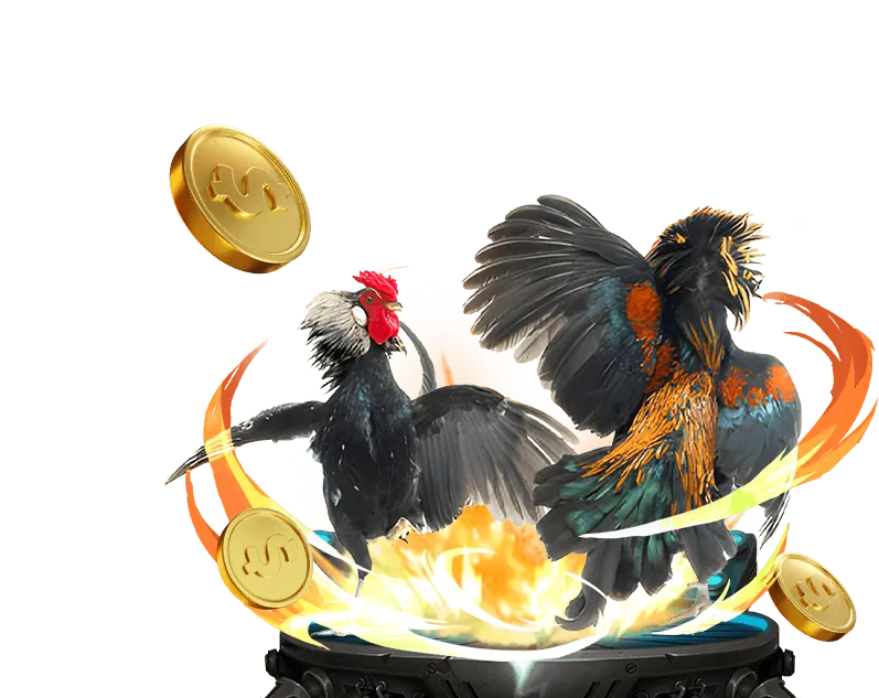 Người chơi trúng Jackpot lớn tại đá gà az88